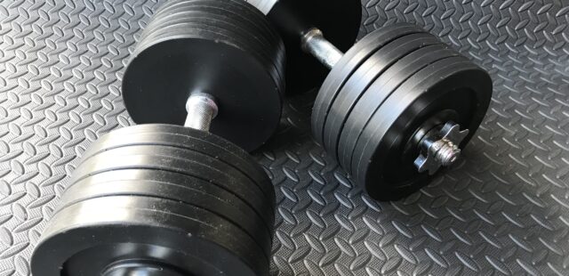 Fake Weights – Olympic Style Weights