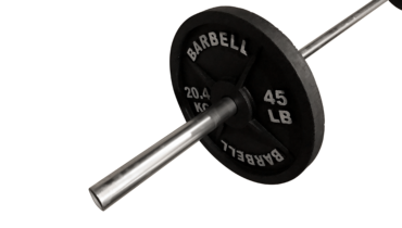 Types of Fake Weights Available