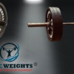 About Fake Weights