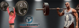 buy fake weights set